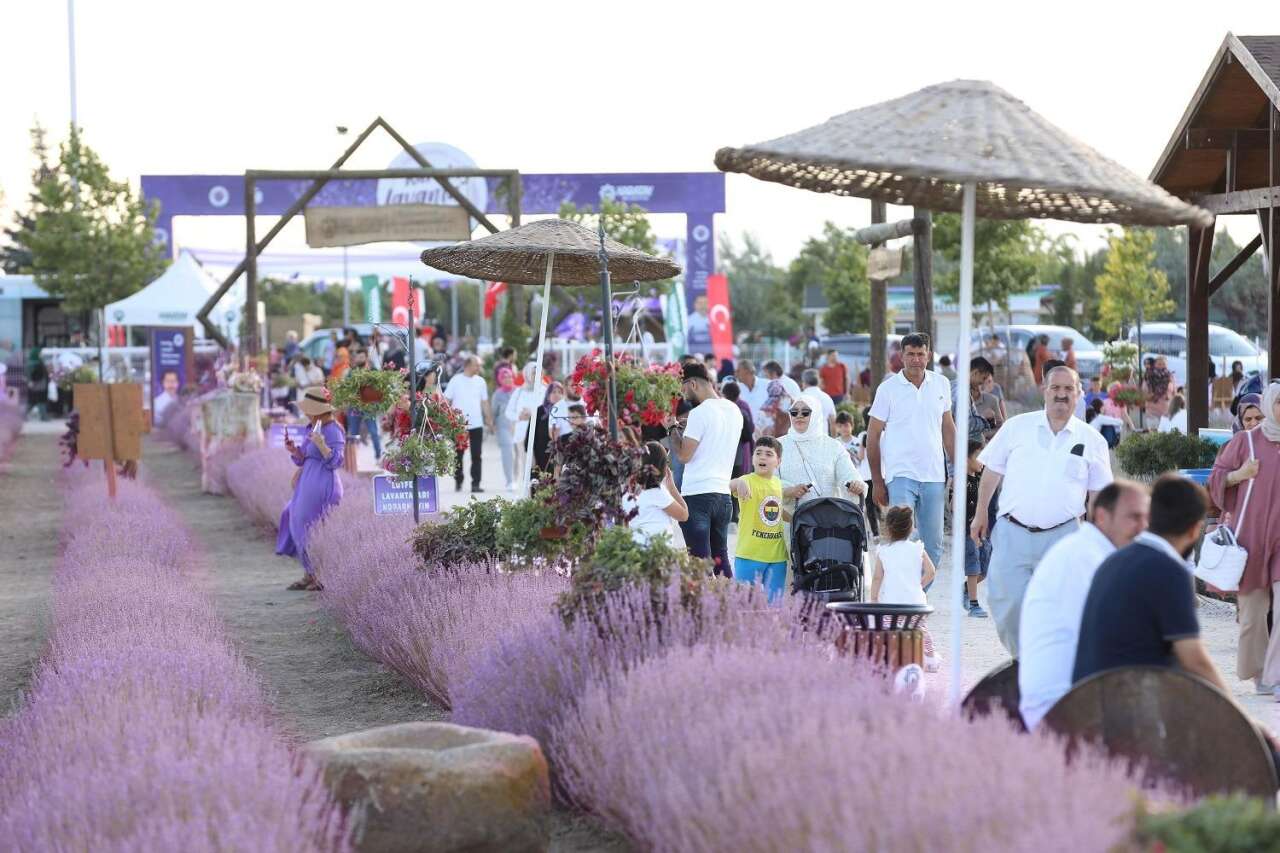 Karatay Lavanta Bahçesi açıldı! 2026 Lavanta Günleri 3 gün sürecek 10